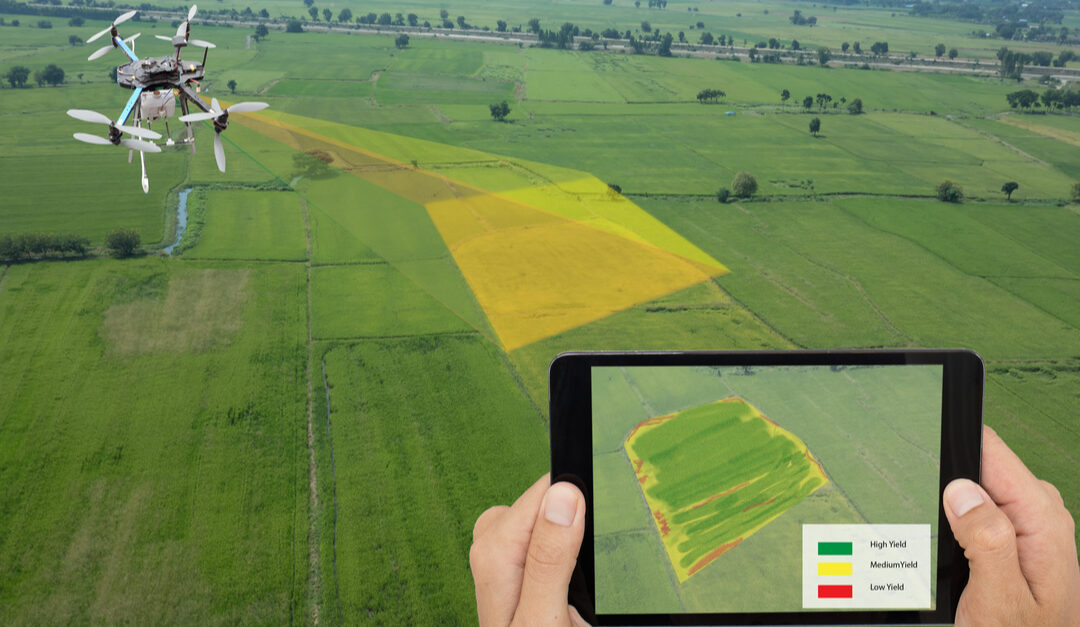 How Agri-tech Yields the Best Results